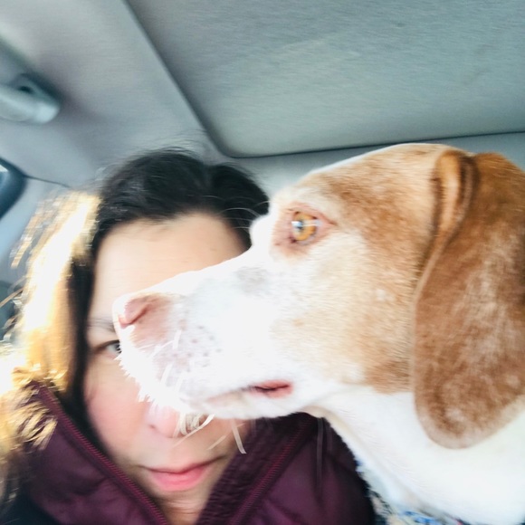 MEET THE POSHER - Picture 2 of 2